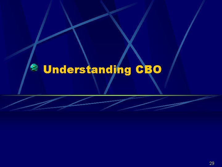Understanding CBO 29 