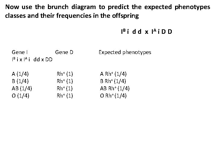 Now use the brunch diagram to predict the expected phenotypes classes and their frequencies