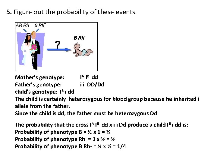 5. Figure out the probability of these events. Mother’s genotype: IA IB dd Father’s