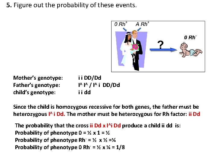 5. Figure out the probability of these events. Mother’s genotype: Father’s genotype: child’s genotype: