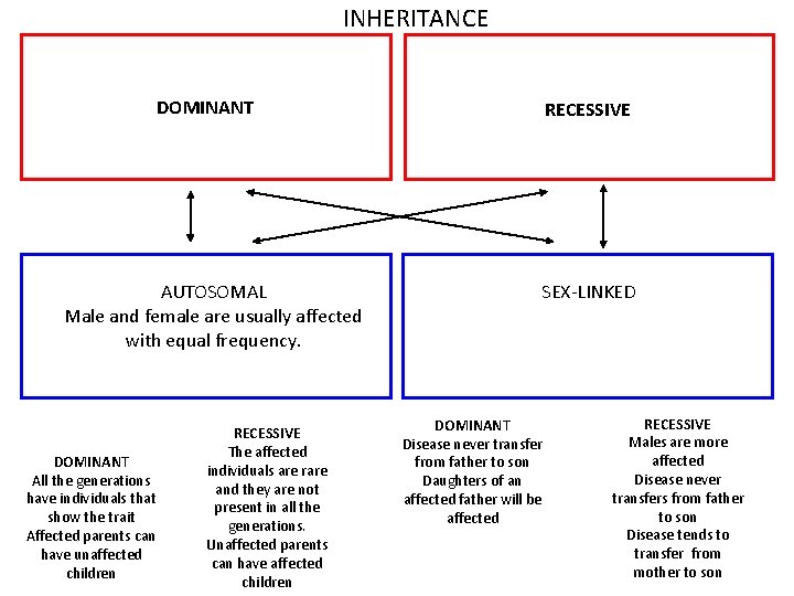 INHERITANCE DOMINANT AUTOSOMAL Male and female are usually affected with equal frequency. DOMINANT All