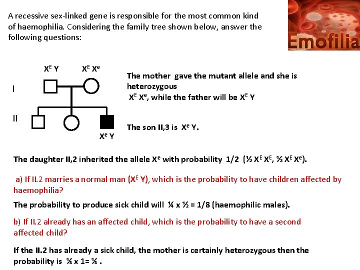 A recessive sex-linked gene is responsible for the most common kind of haemophilia. Considering