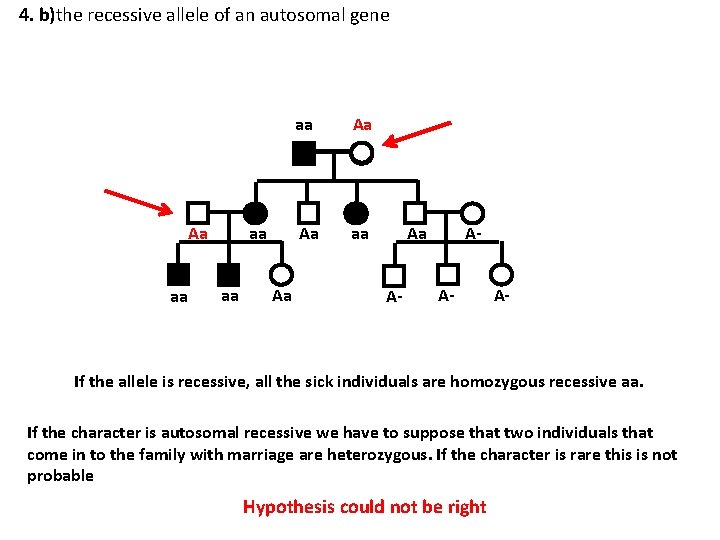 4. b)the recessive allele of an autosomal gene Aa aa aa aa Aa Aa