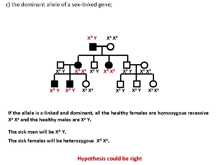 c) the dominant allele of a sex-linked gene; XA Y Xa Y XA Y