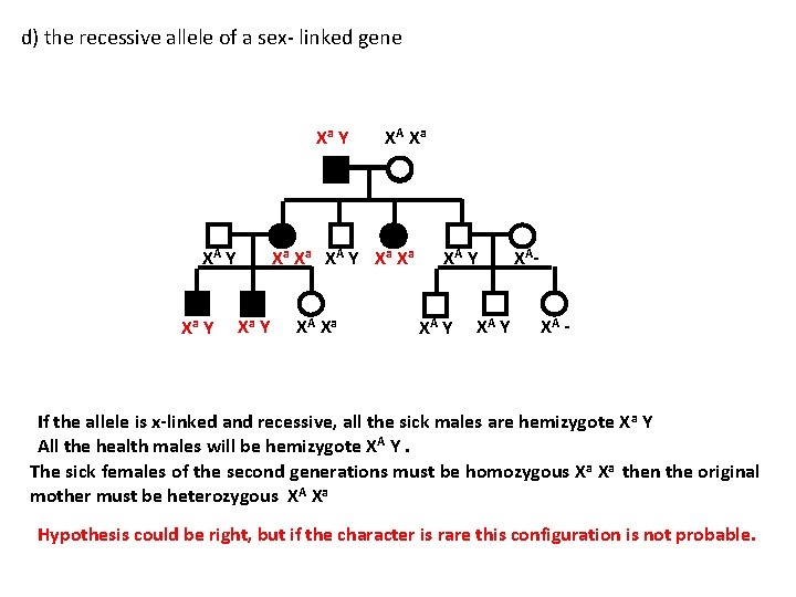 d) the recessive allele of a sex- linked gene Xa Y XA Y Xa