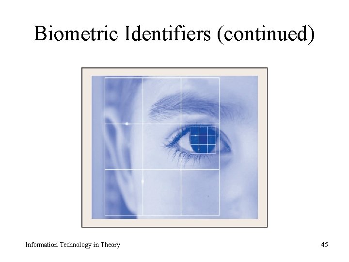 Biometric Identifiers (continued) Information Technology in Theory 45 