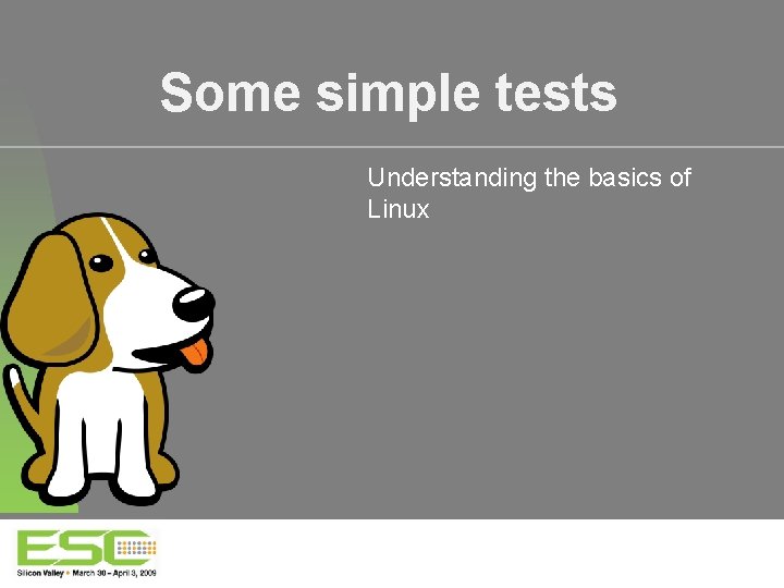 Some simple tests Understanding the basics of Linux 