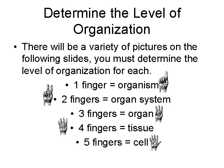 Determine the Level of Organization • There will be a variety of pictures on