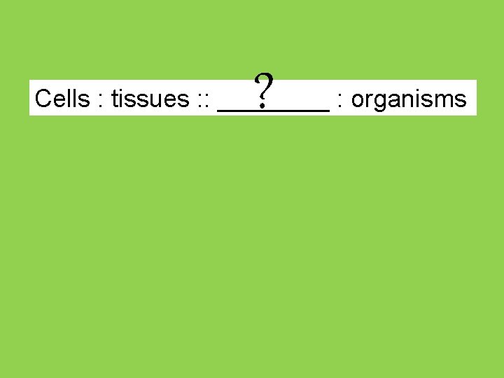? Cells : tissues : : ____ : organisms 