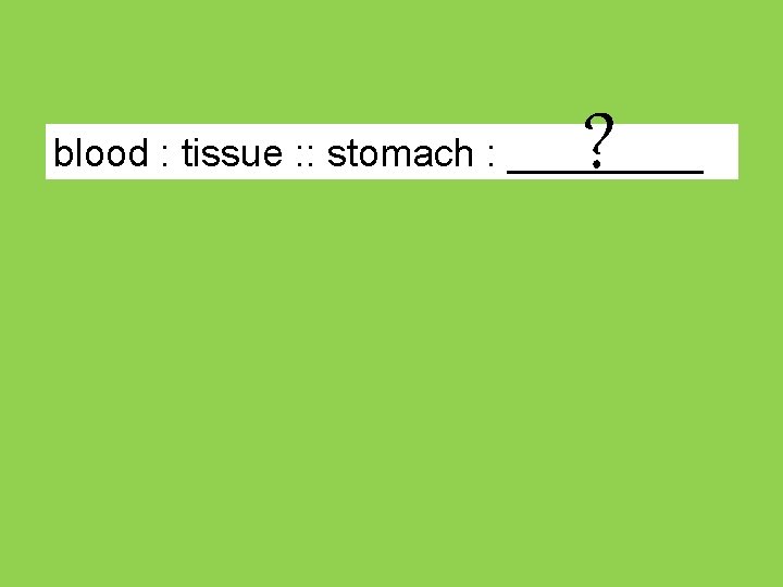 ? blood : tissue : : stomach : _____ 