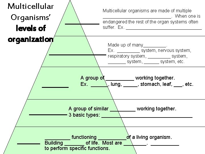 Multicellular Organisms’ levels of organization _____ Multicellular organisms are made of multiple ______________. When