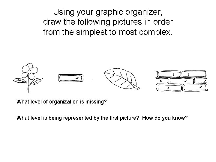 Using your graphic organizer, draw the following pictures in order from the simplest to