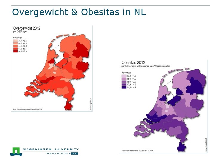 Overgewicht & Obesitas in NL 