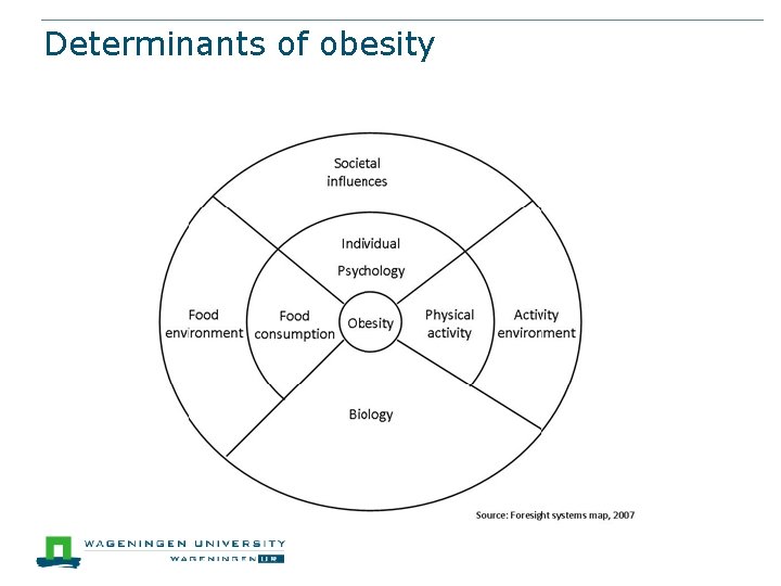 Determinants of obesity 