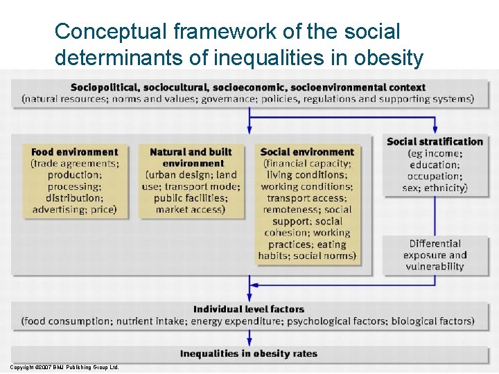 Conceptual framework of the social determinants of inequalities in obesity Copyright © 2007 BMJ