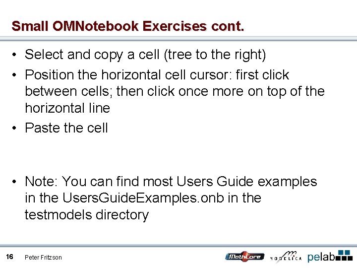 Small OMNotebook Exercises cont. • Select and copy a cell (tree to the right)