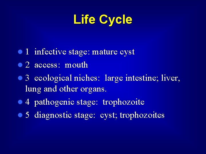 Life Cycle l 1 infective stage: mature cyst l 2 access: mouth l 3