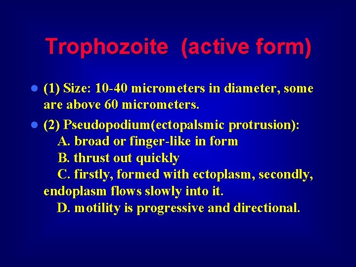 Trophozoite (active form) (1) Size: 10 -40 micrometers in diameter, some are above 60
