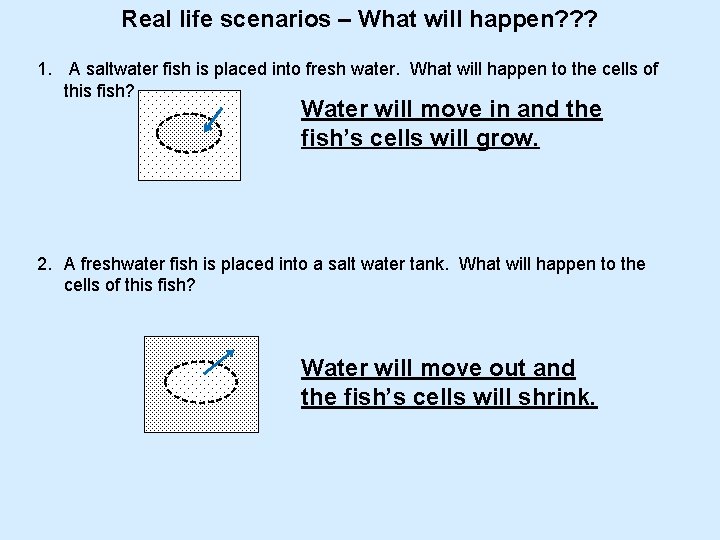 Real life scenarios – What will happen? ? ? 1. A saltwater fish is