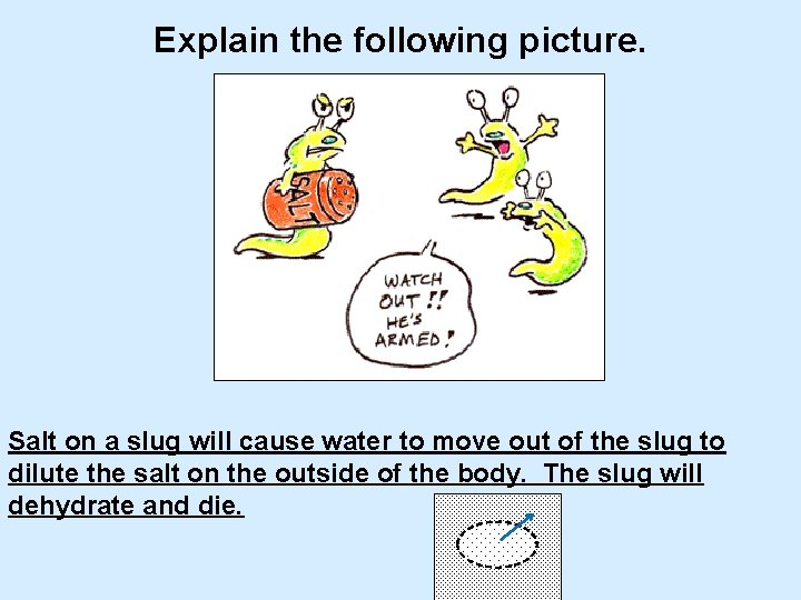 Explain the following picture. Salt on a slug will cause water to move out