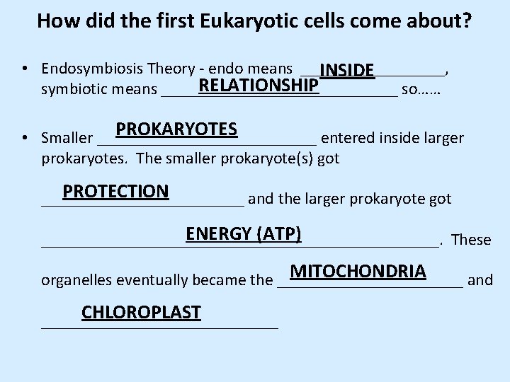 How did the first Eukaryotic cells come about? • Endosymbiosis Theory - endo means