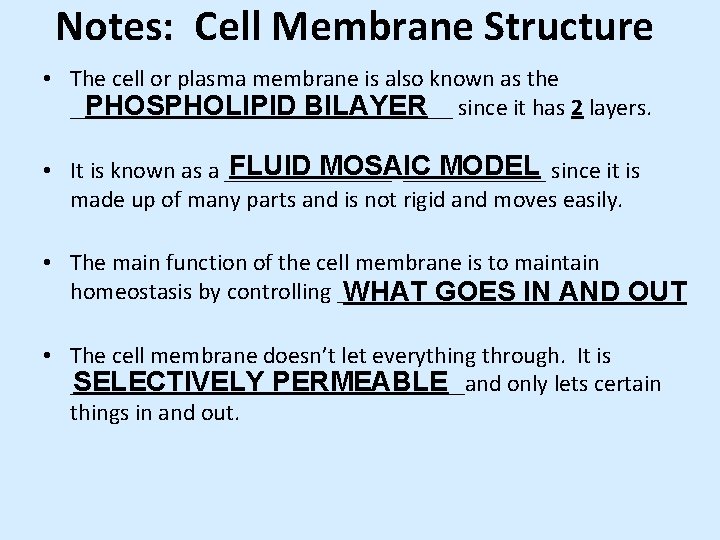 Notes: Cell Membrane Structure • The cell or plasma membrane is also known as