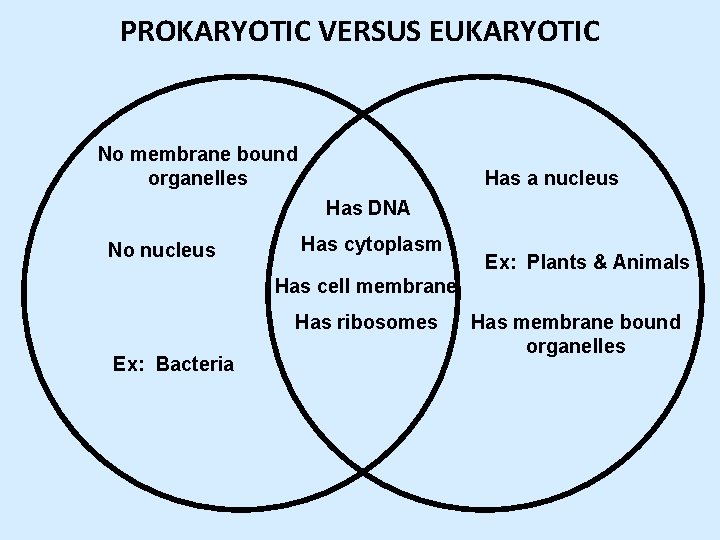 PROKARYOTIC VERSUS EUKARYOTIC No membrane bound organelles Has a nucleus Has DNA No nucleus