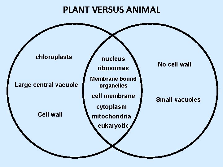 PLANT VERSUS ANIMAL chloroplasts Large central vacuole nucleus ribosomes Membrane bound organelles cell membrane