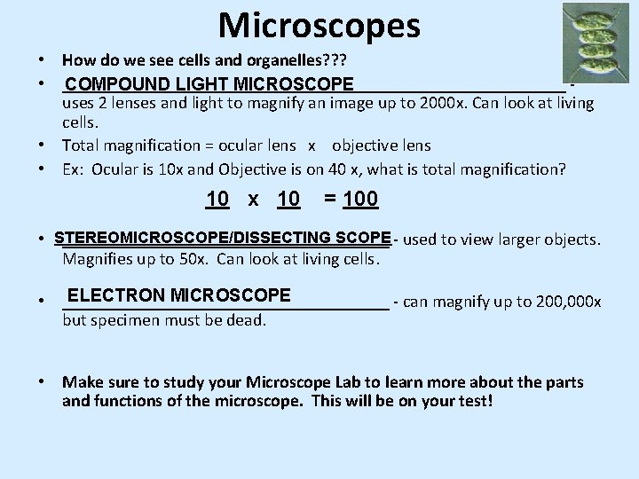 Microscopes • How do we see cells and organelles? ? ? • _____________________________ COMPOUND