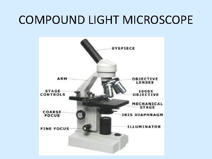 COMPOUND LIGHT MICROSCOPE 
