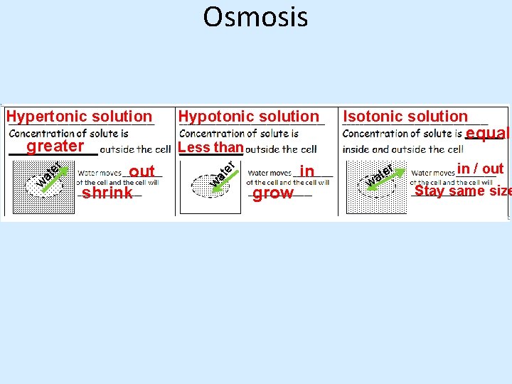 Osmosis wa in r out shrink Isotonic solution equal Less than te te r