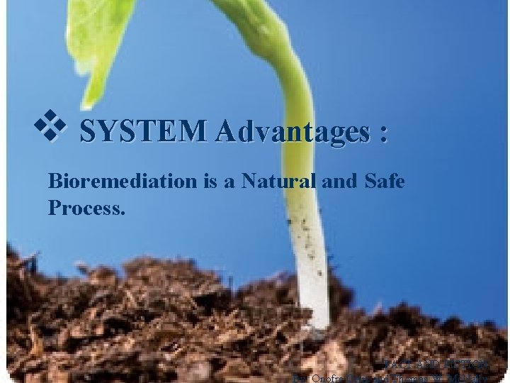 v SYSTEM Advantages : Bioremediation is a Natural and Safe Process. FACT AND FICTION
