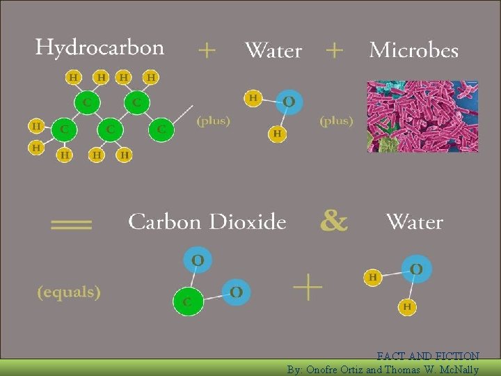 FACT AND FICTION By: Onofre Ortiz and Thomas W. Mc. Nally 