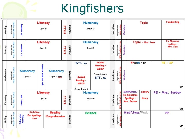 Kingfishers 