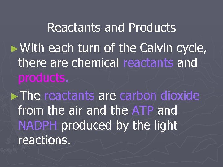 Reactants and Products ►With each turn of the Calvin cycle, there are chemical reactants
