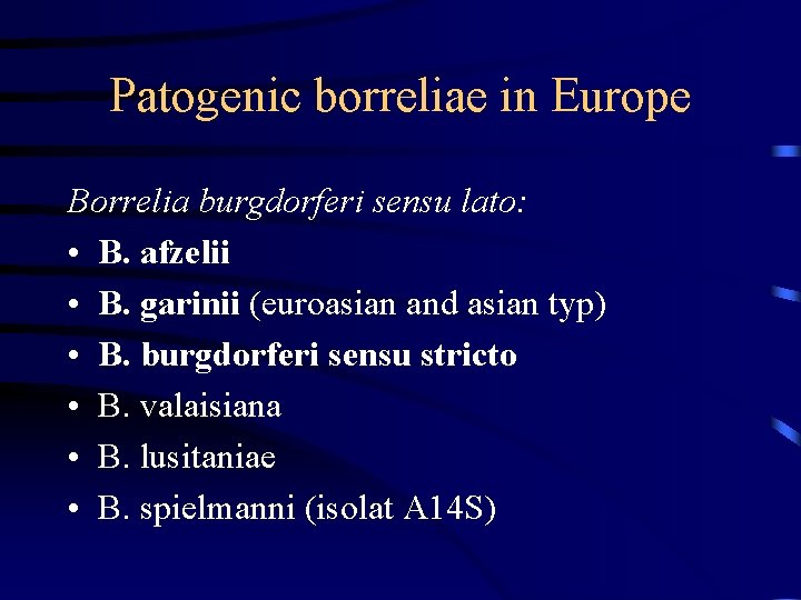 Patogenic borreliae in Europe Borrelia burgdorferi sensu lato: • B. afzelii • B. garinii