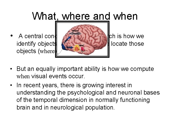 What, where and when • A central concept in visual research is how we