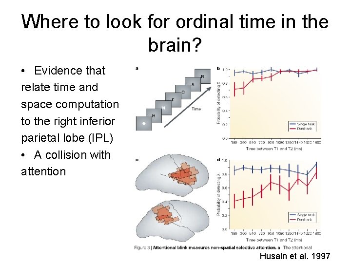 Where to look for ordinal time in the brain? • Evidence that relate time