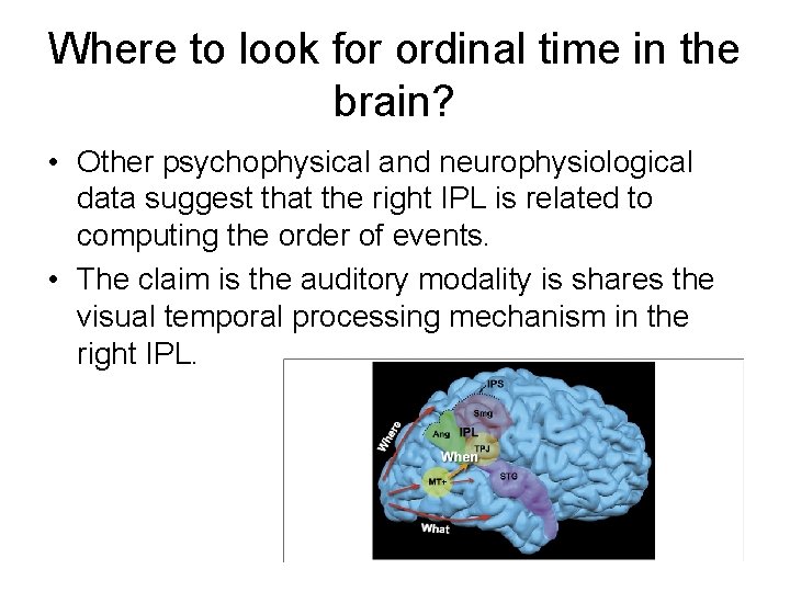 Where to look for ordinal time in the brain? • Other psychophysical and neurophysiological