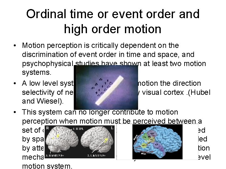 Ordinal time or event order and high order motion • Motion perception is critically
