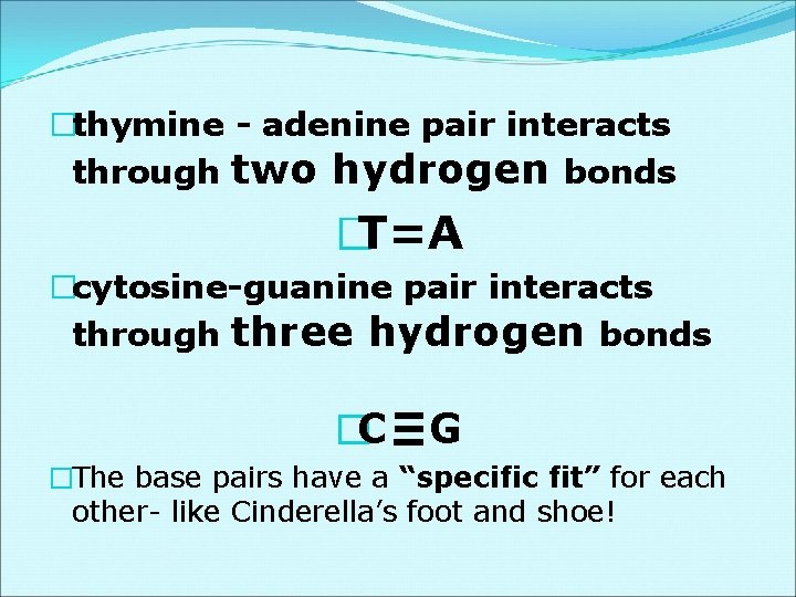 �thymine - adenine pair interacts through two hydrogen bonds �T=A �cytosine-guanine pair interacts through