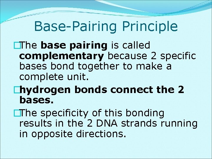 Base-Pairing Principle �The base pairing is called complementary because 2 specific bases bond together