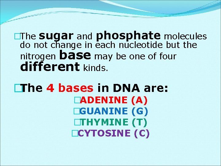 �The sugar and phosphate molecules do not change in each nucleotide but the nitrogen