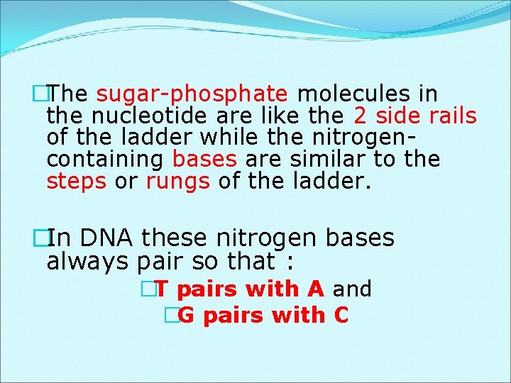 �The sugar-phosphate molecules in the nucleotide are like the 2 side rails of the