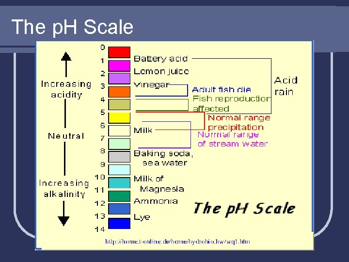 The p. H Scale 