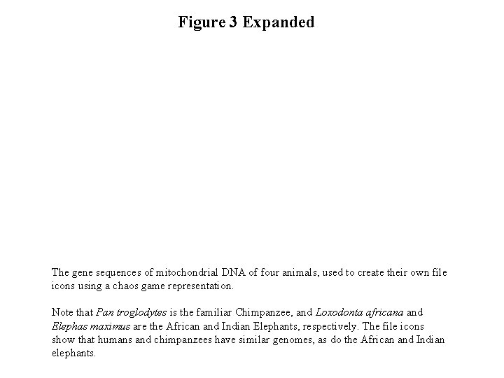 Figure 3 Expanded The gene sequences of mitochondrial DNA of four animals, used to