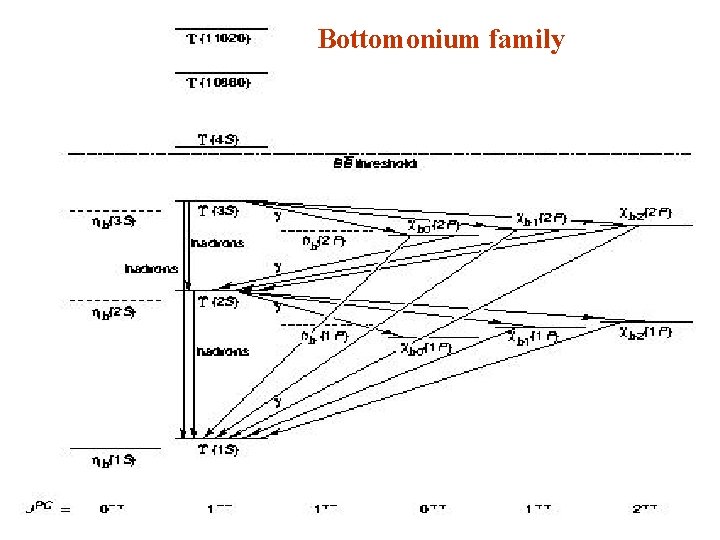 Bottomonium family 