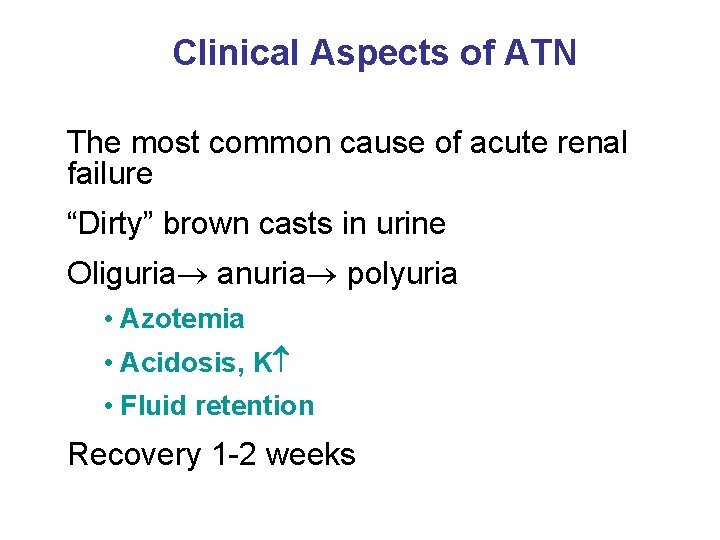 Clinical Aspects of ATN The most common cause of acute renal failure “Dirty” brown