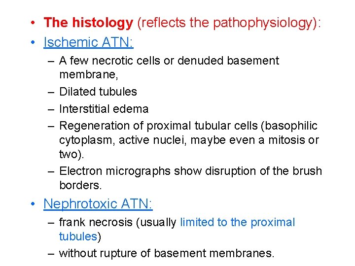  • The histology (reflects the pathophysiology): • Ischemic ATN: – A few necrotic