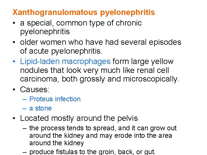 Xanthogranulomatous pyelonephritis • a special, common type of chronic pyelonephritis • older women who